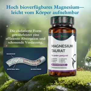 Natürliches Magnesiumtaurat 500 mg – Premium-Qualität, ideale Stärke, 100 vegane Kapseln, höchste Bioverfügbarkeit Dose Magnesium-Taurat-Kapseln mit einer Infografik zur Aufnahme im Körper.