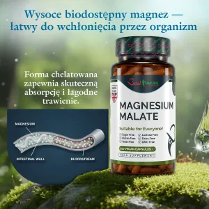 Naturalny jabłczan magnezu 500mg Jakość premium Idealna moc 100 kapsułek wegańskich Butelka suplementu Magnesium Malate oraz grafika ilustrująca proces wchłaniania.