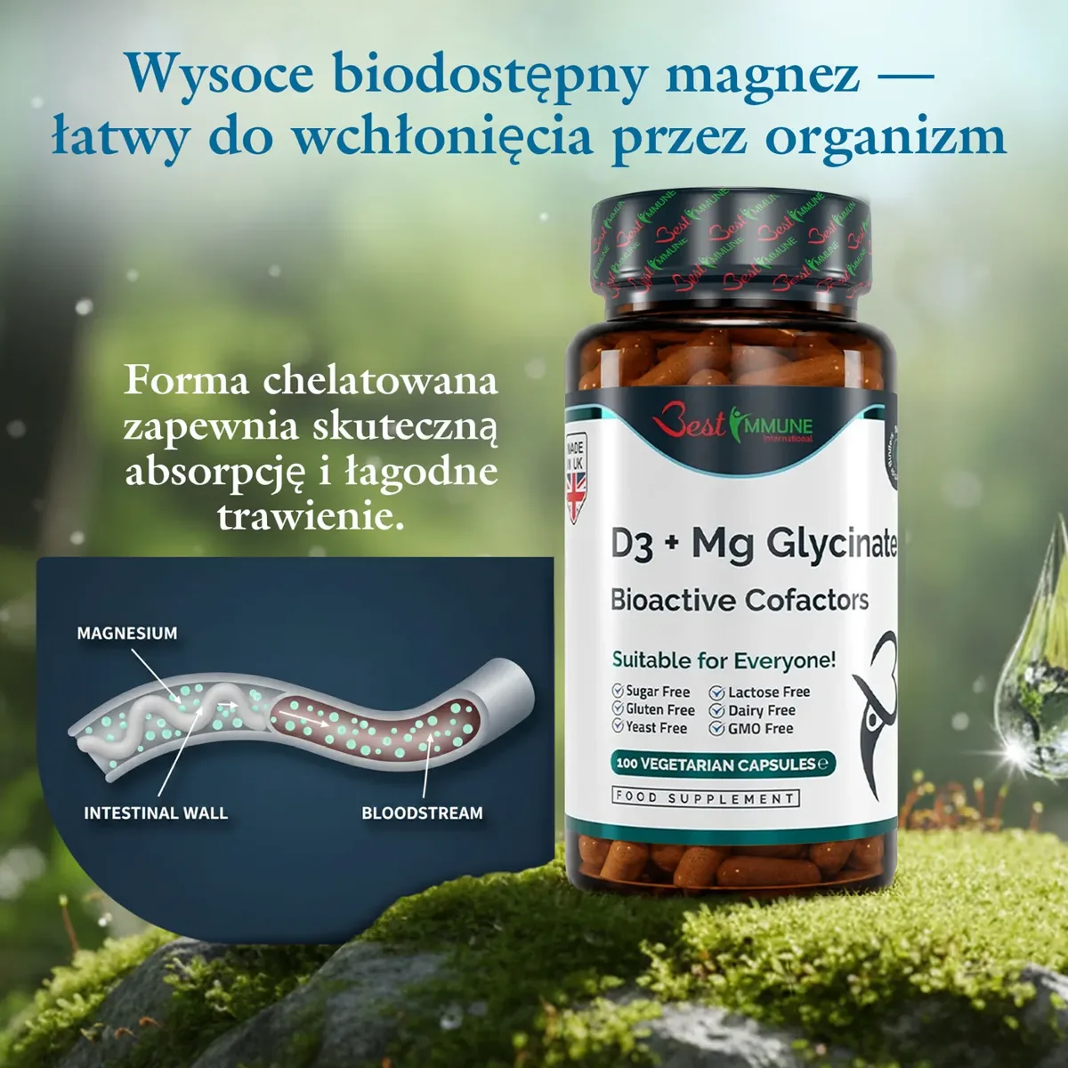Glicynian magnezu + D3 Kompleks niezbędnych kofaktorów Najwyższa jakość Produkt naturalny Butelka suplementu D3 + Mg Glycinate na mchu oraz grafika wchłaniania magnezu w jelicie.